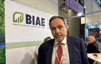 Cavallero (Biae): “Prima banca focalizzata su energie alternative e transizione”