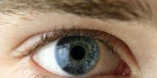 Chirurgia vitroretinica, al Miulli di Bari formazione sulla gestione dei casi complessi