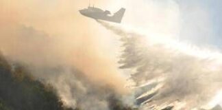 Clima e foreste europee: incendi, tempeste e infestazioni in aumento