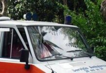 Colpito da un ramo mentre taglia albero, morto 48enne nel Bresciano