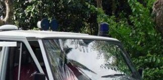 Colpito da un ramo mentre taglia albero, morto 48enne nel Bresciano