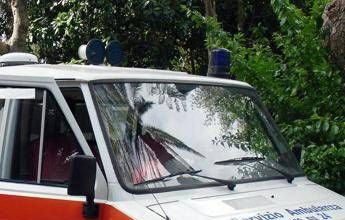 Colpito da un ramo mentre taglia albero, morto 48enne nel Bresciano