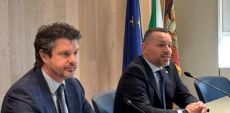 Riforma del trasporto pubblico locale del Veneto: si punta a una Agenzia unica trasporto pubblico locale veneto