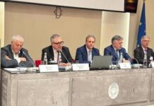 Energia, Bufo (Iren): “Stop Ue a Ppp taglia trasversalmente settori, va trovata soluzione”