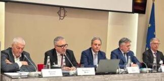 Energia, Bufo (Iren): “Stop Ue a Ppp taglia trasversalmente settori, va trovata soluzione”