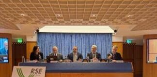 Energia, Rse: “Grazie a smart grid sistema elettrico più sicuro e resiliente ed energia meno cara”