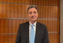 Energia, Vigilante (Gse): “Promuoviamo lo sviluppo dei Ppa”