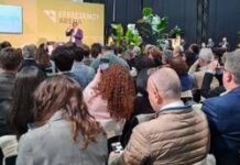 Energia, misure e meccanismi per la transizione post Pnrr, il ruolo delle Esco