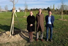 Fondazione Gabaldo a Vicenza, 23 alberi del premio Dedalo Minosse piantati al Parco della Pace Fondazione Gabaldo a Vicenza, 23 alberi del premio Dedalo Minosse
