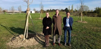 Fondazione Gabaldo a Vicenza, 23 alberi del premio Dedalo Minosse piantati al Parco della Pace Fondazione Gabaldo a Vicenza, 23 alberi del premio Dedalo Minosse