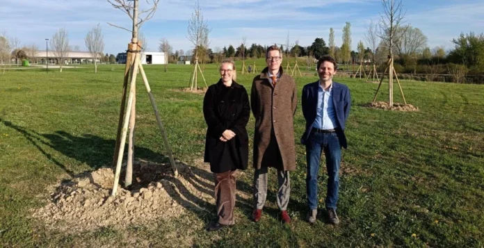 Fondazione Gabaldo a Vicenza, 23 alberi del premio Dedalo Minosse Fondazione Gabaldo a Vicenza, 23 alberi del premio Dedalo Minosse