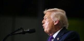 Iran, Trump: “Non voglio più l’aiuto della Nato”