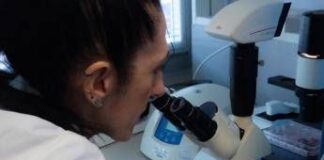 Malattie rare, scoperta nuova patologia genetica nei bimbi