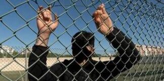 Minori, Save the Children: “Il 13,4% dei ragazzi ha assistito a scene di violenza che venivano filmate”