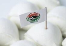 Mozzarella di bufala e jabugo dop, a Barcellona il gemellaggio europeo del gusto