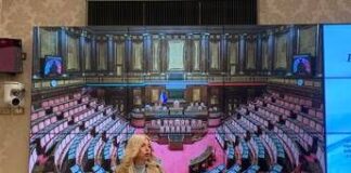 Murelli (Lega): “Prevenzione nutrizionale può ridurre fino a 10 mld di costi per Ssn”