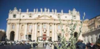 Oggi è la Domenica delle palme, cosa si celebra e perché si usano i rami d’ulivo