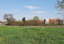 Parco Astichello a Vicenza, Spiller: 127 nuove piante con ACI e carabinieri forestali Parco Astichello, nuova piantumazione