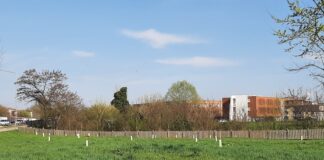 Parco Astichello a Vicenza, Spiller: 127 nuove piante con ACI e carabinieri forestali Parco Astichello, nuova piantumazione