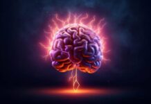 Rischio demenza, protezione del cervello potrebbe iniziare a tavola: lo studio
