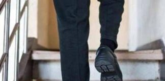 Salire (e scendere) le scale fa bene anche al cervello, lo studio