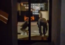 Schio, Fratelli d’Italia segnala presunta moschea abusiva. E striglia la maggioranza Schio presunta moschea