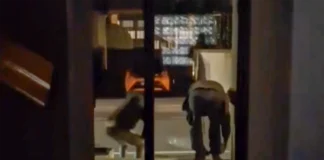 Schio, Fratelli d’Italia segnala presunta moschea abusiva. E striglia la maggioranza Schio presunta moschea