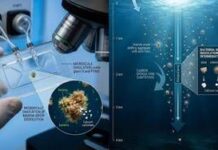 Scoperta shock del MIT: miliardi di tonnellate di CO2 potrebbero tornare a galla a causa di questi microbi