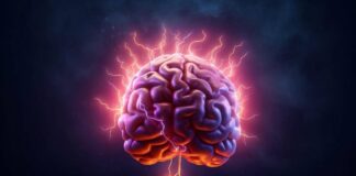 Scoperto nel cervello ‘freno’ che disattiva il dolore cronico, lo studio