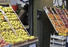 Commercio “strano” a Vicenza e agricoltori “no profit” nel Vicentino, altre segnalazioni: in ballo anche il decreto flussi? Commercio ortofrutta