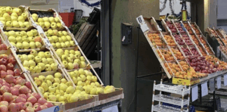 Commercio “strano” a Vicenza e agricoltori “no profit” nel Vicentino, altre segnalazioni: in ballo anche il decreto flussi? Commercio ortofrutta