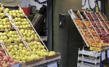 Commercio “strano” a Vicenza e agricoltori “no profit” nel Vicentino, altre segnalazioni: in ballo anche il decreto flussi? Commercio ortofrutta