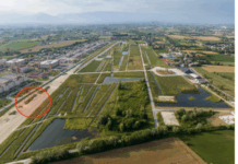 Murale collettivo al Parco della Pace a Vicenza, Nicolai invita i cittadini a partecipare Area del murale collettivo al Parco della Pace a Vicenza