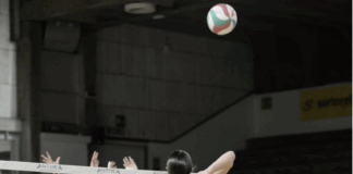 Volksbank Vicenza Volley vola a… Volano, 3-0 netto: Tonello guida il bis in Trentino Sveva Tonello (Volksbank Vicenza Volley) - foto d'archivio
