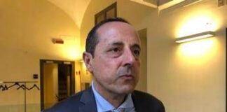 Steatosi epatica, Conforti (EpaC): “Diagnosi precoce, cura specifica e follow-up”