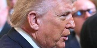 Trump e il collo arrossato, la spiegazione della Casa Bianca: “Colpa di una crema”