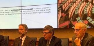 Tumori, oncologo Garufi: “Al San Camillo 1.200 nuovi pazienti l’anno, nutrizione parte della cura”