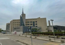 Torri di Quartesolo, l’autopsia: “Diana Canevarolo morta per trauma cranico dopo caduta. Aveva bevuto” diana canevarolo tribunale vicenza