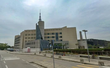 Tribunale di Vicenza, Colombara: “Personale a Bassano? Nessuna risposta, nessuna garanzia” diana canevarolo tribunale vicenza mafie