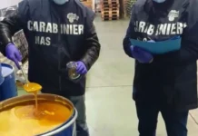 Commercio Vicenza, Carabinieri Nas chiudono tre negozi etnici in zona Stazione. Plaude la politica. Rucco polemizza carabinier nas vicenza negozi etnici