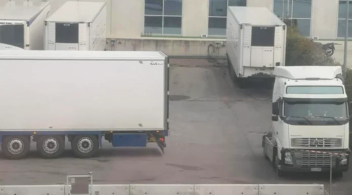 Tragedia a Tezze sul Brenta: lavoratrice investita e uccisa dal suo stesso camion investita tezze sul brenta