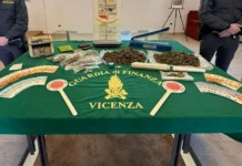 Vicenza, operazione della guardia di finanza contro lo spaccio: sequestrato oltre un chilo di marijuana vicenza marijuana guardia di finanza