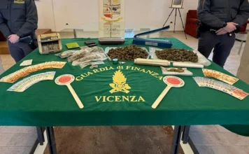 Cannabis nei boschi di San Giovanni Lupatoto, due arresti e oltre 60 chili sequestrati cannabis a San Giovanni Lupatoto