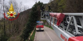 Forti raffiche di vento in provincia di Vicenza, Vigili del Fuoco: oltre 50 interventi in 48 ore vigili del fuoco vicenza raffiche vento
