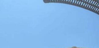 Assobalneari, su concessioni balneari caos normativo e resa all’Ue e giurisprudenza a intermittenza, governo cambi rotta