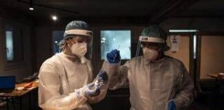 Batterio invade il mondo: la maxi simulazione Oms rivela cosa potrebbe accadere