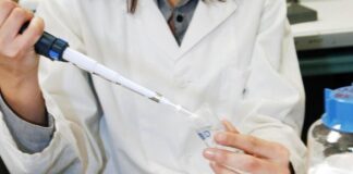Batterio mangiacarne trovato nello stretto di Messina, è allerta