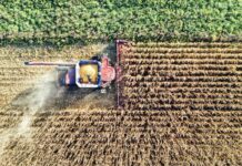 Agricoltura in Veneto: nuovi bandi per 60 milioni di euro per lo sviluppo del settore agricoltura veneto