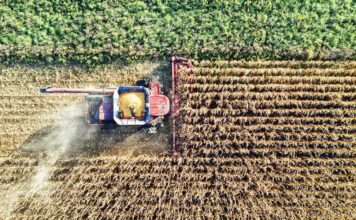 Agricoltura in Veneto: nuovi bandi per 60 milioni di euro per lo sviluppo del settore agricoltura veneto