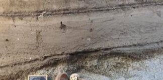 Nuovi ritrovamenti a Pompei, due uomini in fuga dall’eruzione del 79 d.C.